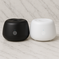 OroSonic™ Ultrasonic Cleaner